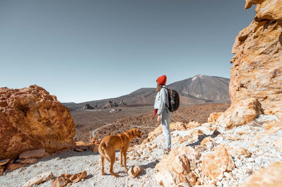 Planes con perro en Tenerife: Mujer y su perro en el parque nacional El Teide