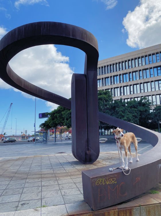 Lugares Más Instagrameables de Santa Cruz de Tenerife: Plaza Europa