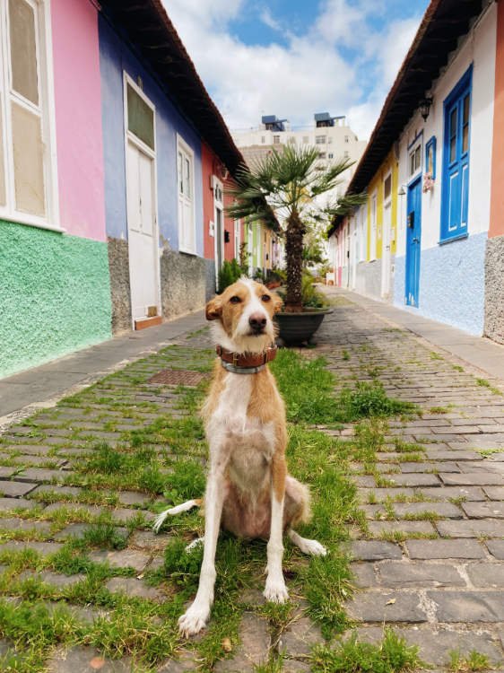 Pasaje Santiago, Toscal, Santa Cruz de Tenerife