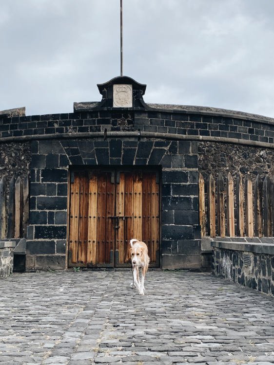 Castillo Negro