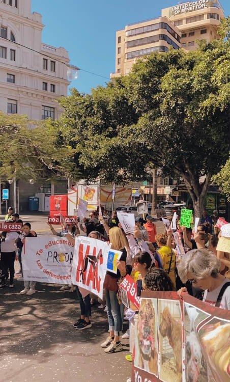 No a la Caza: Manifestación en Plaza de España Tenerife