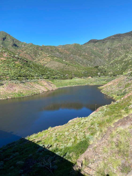 Charco de Tahodio