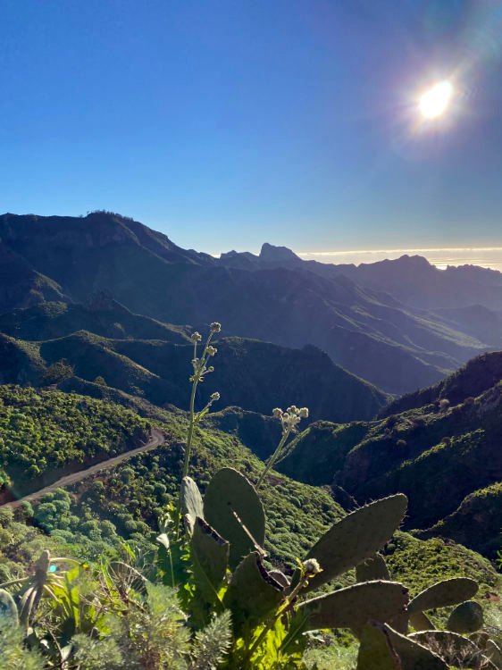 Pateo Jardina hasta Tahodio: Monte de Anaga