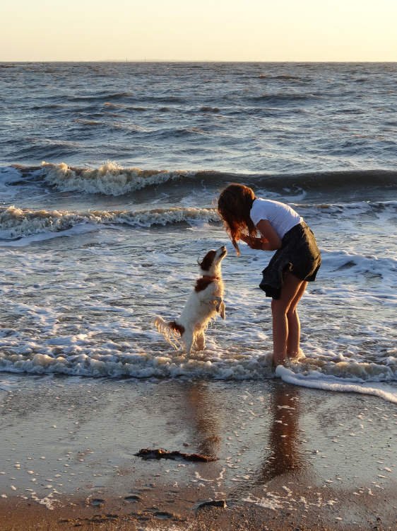 Chica jugando con su perro en el mar