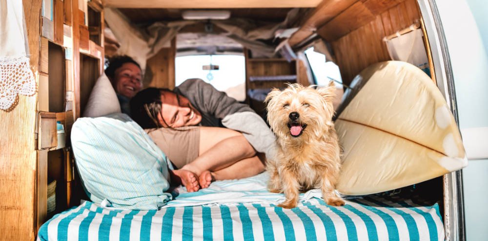 Van Life en Tenerife con perro: pareja en una furgoneta con perro