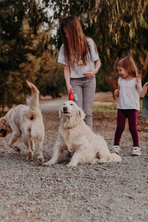 Parque de perros El Montillo, La Matanza Tenerife: dos perros y dos chicas