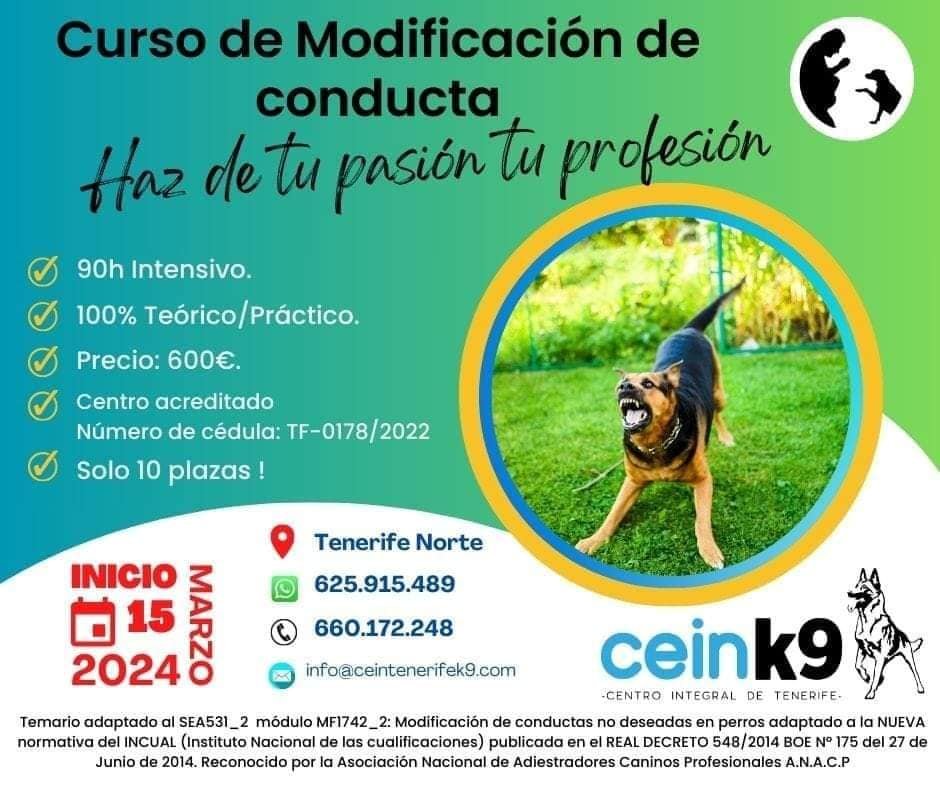 CeinK9 curso de modificación de conducta