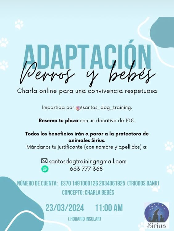 Eventos Caninos en Tenerife: Charla Adaptación perros y bebes