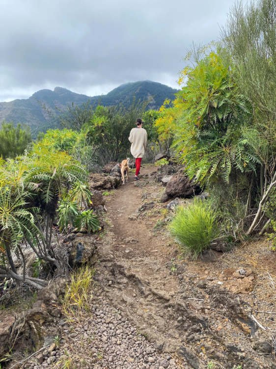 La ruta de los Almendros en Flor: chica y perro caminando