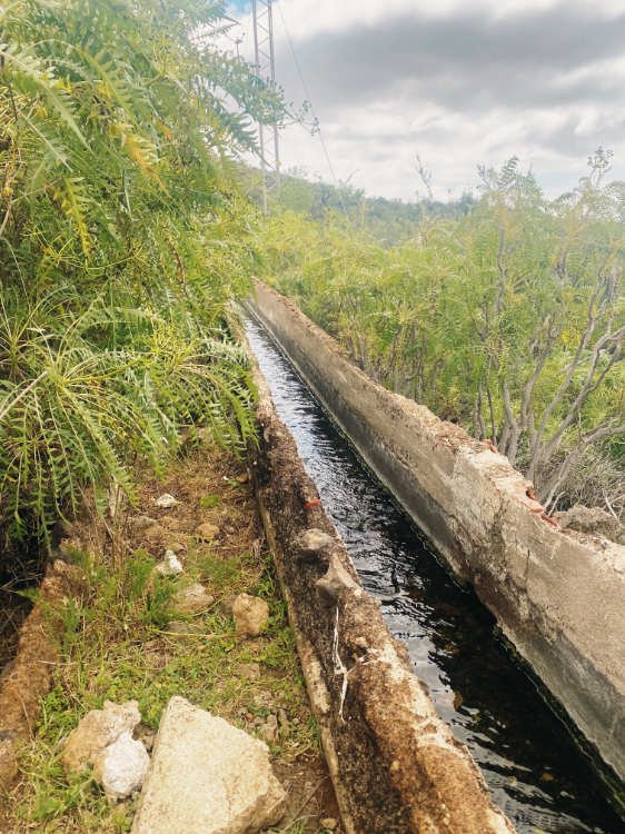 La ruta de los almendros en flor: Galería de agua en Tenerife