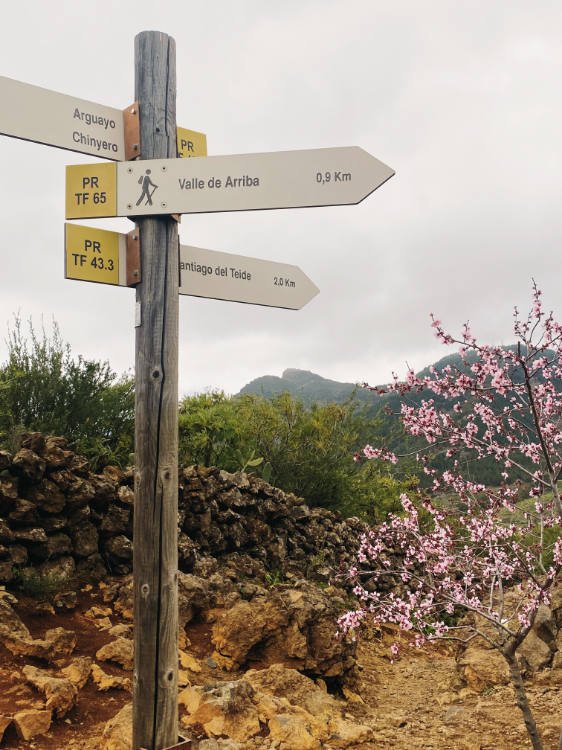 Cruce en la ruta de los almendros santiago del teide