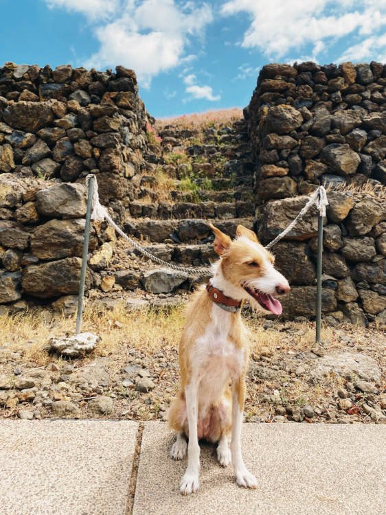 Pirámides de Güímar: ruinas guanches en Tenerife