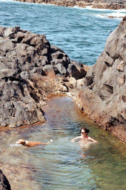 Charco natural en Tenerife con una chica y perro