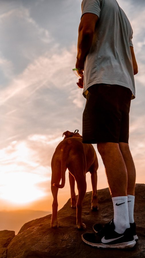 Hombre y perro en Abades Tenerife