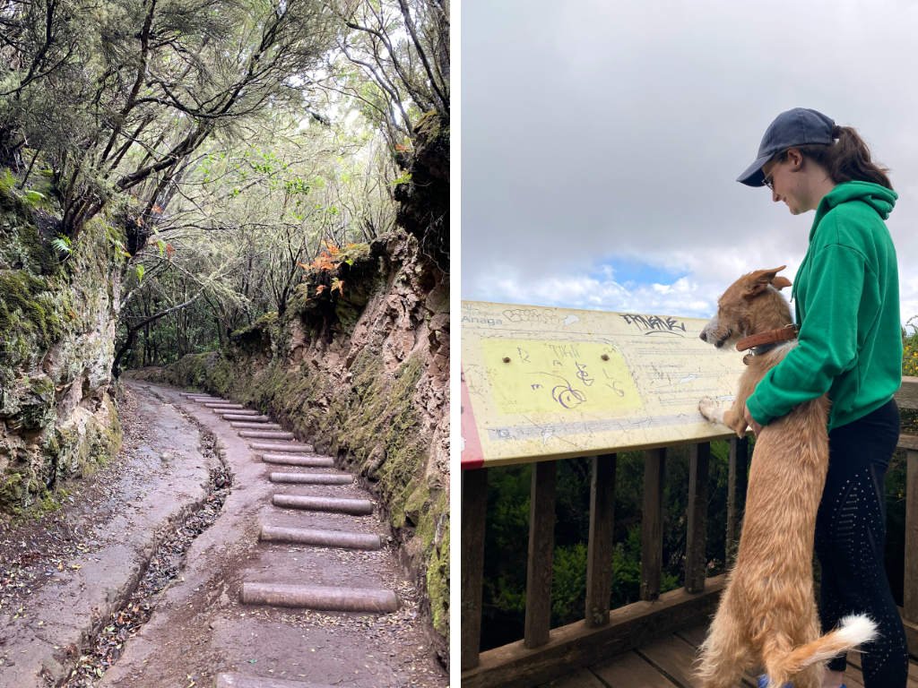 El Sendero de los Sentidos, Anaga