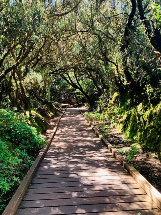 Senderismo en Tenerife: El sendero de los Sentidos, Anaga