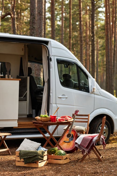 Van Life en Tenerife con perro: Picnic en el bosque