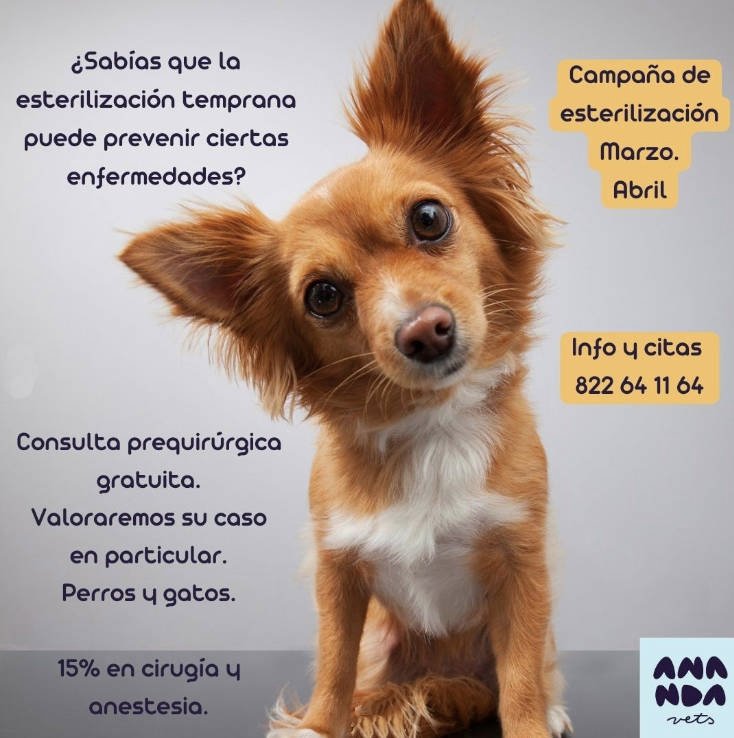 Clinica veterinaria Ananda Tenerife