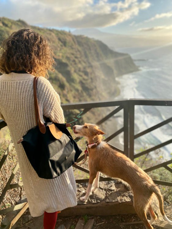 Mirador de los 500 escalones con perro: vistas al mar