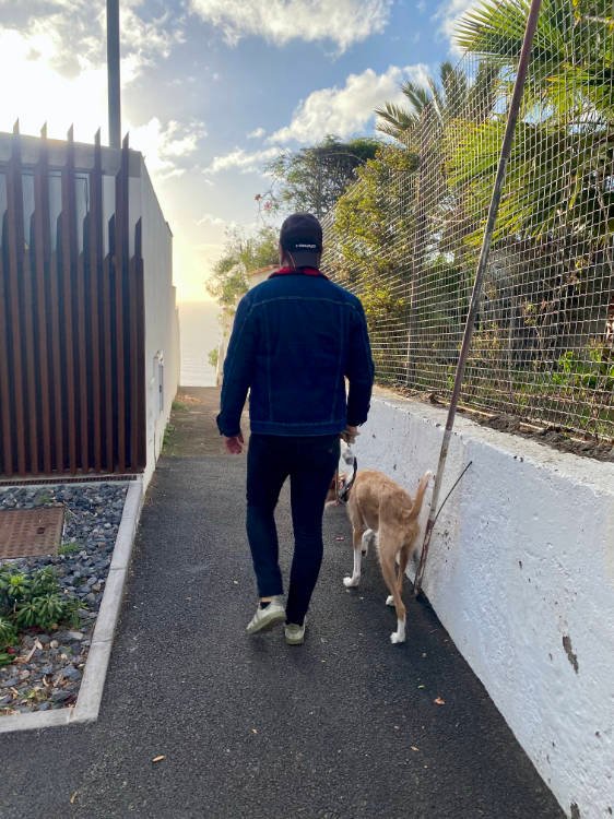 Mirador de los 500 escalones con perro: entrada de la ruta