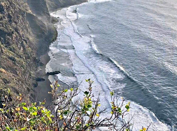 Mirador de los 500 escalones con perro: Vistas