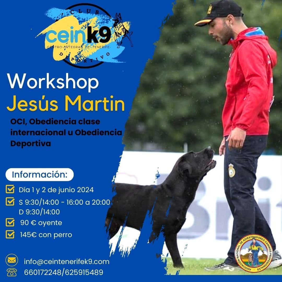 Eventos pet-friendly Tenerife: Jesús Martín taller de adiestramiento canino